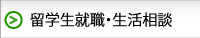 留学生就職・生活相談